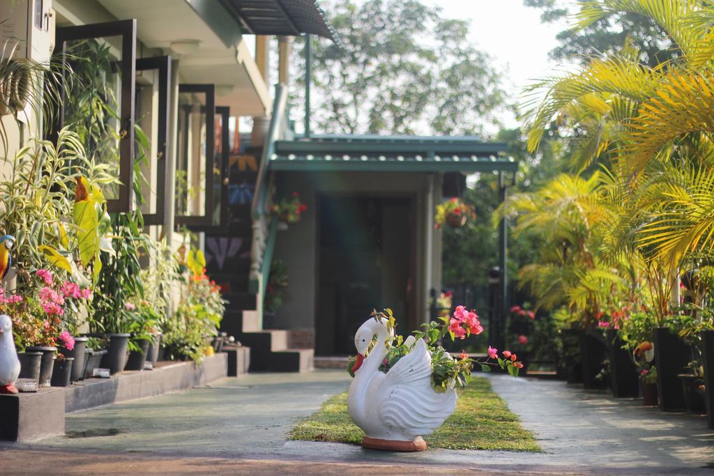 Yes Paradise Kandy Luaran gambar